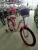 IMG_20220616_135934 IMG_20220616_135934