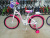 IMG_20220616_135916 IMG_20220616_135916